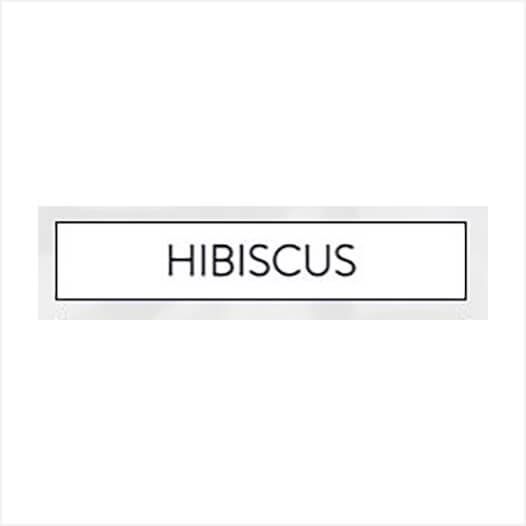 img-vicusorbis-hibicus